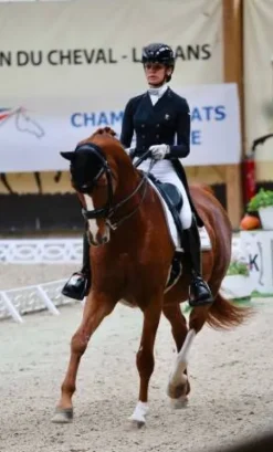 New Frac dressage noir 36 Femme Tenue De Concours Femme·Frac De Dressage|Tenue De Concours Homme·Frac De Dressage