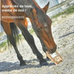 Hot Friandises Natural'Crackers - Friandises