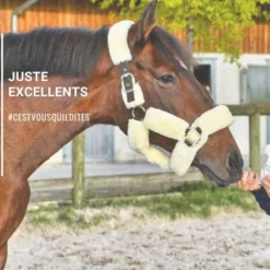 Hot Friandises Natural'Crackers - Friandises