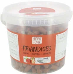 Discount Friandises pour chevaux fraise - HIPPOTONIC Friandises