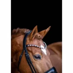 Online Frontal BE TEMPTED Cherry Milkshake Black - Bridons Et Brides·Frontal