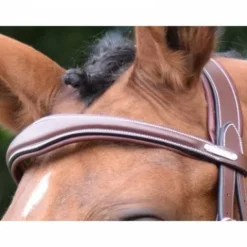 Hot Frontal Bruxelles - Collection One Bridons Et Brides·Frontal