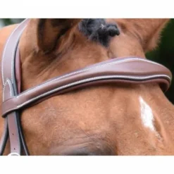 Hot Frontal Bruxelles - Collection One Bridons Et Brides·Frontal