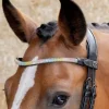 Discount Frontal en cuir Rainbow multicolore - Harry's Horse - Cristaux Bridons Et Brides·Frontal