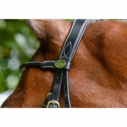 Sale Frontal Monday Collection Week Bridons Et Brides·Frontal