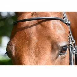 Sale Frontal Monday Collection Week Bridons Et Brides·Frontal