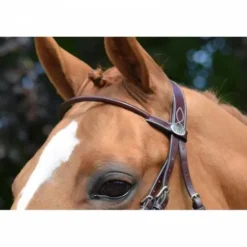 Sale Frontal Monday Collection Week Bridons Et Brides·Frontal