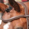 Sale Frontal New York - Collection One Bridons Et Brides·Frontal