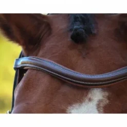 Sale Frontal New York - Collection One Bridons Et Brides·Frontal