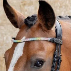 Clearance Frontal Rainbow - HARRY'S HORSE - Cuir avec cristaux Bridons Et Brides·Frontal