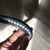 Hot Frontal Strass Cob My Filou Bridons Et Brides·Frontal