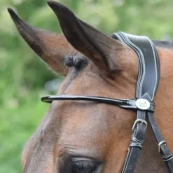 Hot Frontal verni rond Bridons Et Brides·Frontal