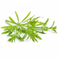 Best Gaillet gratteron 1kg - Bien-Être Du Cheval·Plantes Pour Chevaux