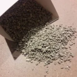 Clearance GastroGuts Appareil Digestif·Stress Gastrique