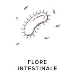 Best Gastroguts - 5 kg Appareil Digestif·Facilite Le Transit|Appareil Digestif·Flore Intestinale