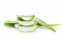 New Gel d'Aloe Vera - LABORAOIRE Bien-Être Du Cheval·Plantes Pour Chevaux