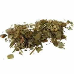 Hot Ginkgo Biloba - Bien-Être Du Cheval·Plantes Pour Chevaux