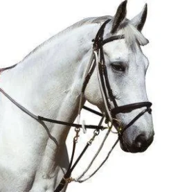 Online Gogue à poulies Marron - Enrênements·Gogue