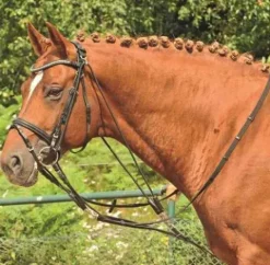 Gogue cuir et polyester - Enrênements·Gogue