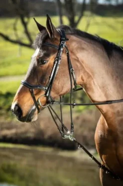 Online Gogue en cuir Enrênements·Gogue