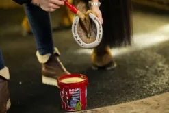 Clearance Graisse pour sabots Hoof Dressing Original - 's Produits De Soin Sabots