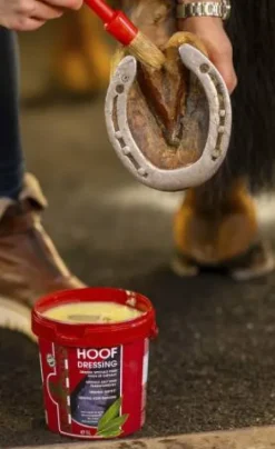Clearance Graisse pour sabots Hoof Dressing Original - 's Produits De Soin Sabots