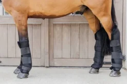 Online Guetre de repos PROtect Classic - KENTUCKY Guêtres De Repos Et Soins