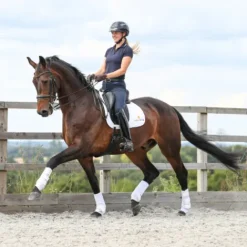 Discount Guêtre dressage Nouvelle Version Guêtres De Dressage|Guêtres