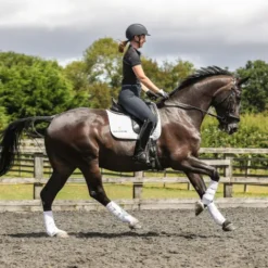 Discount Guêtre dressage Nouvelle Version Guêtres De Dressage|Guêtres