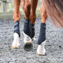 Discount Guêtre dressage Nouvelle Version Guêtres De Dressage|Guêtres