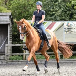 Discount Guêtre dressage Nouvelle Version Guêtres De Dressage|Guêtres