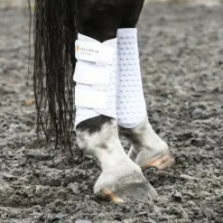 Discount Guêtre dressage Nouvelle Version Guêtres De Dressage|Guêtres