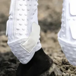 Discount Guêtre dressage Nouvelle Version Guêtres De Dressage|Guêtres