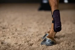 Sale Guêtres Anatomic Tendon Black Raven - Guêtres