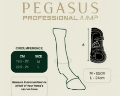 Discount Guêtres antérieurs Pegasus Guêtres