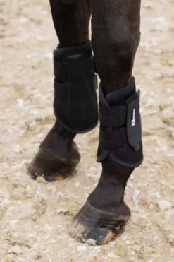 Outlet Guêtres de dressage Mesh Dynamic 2024 - Guêtres De Dressage|Guêtres