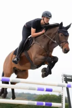 Outlet Guêtres de dressage Mesh Dynamic 2024 - Guêtres De Dressage|Guêtres