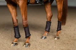 New Guêtres de dressage Moonless Night - Guêtres De Dressage|Guêtres