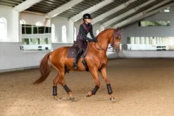 New Guêtres de dressage Moonless Night - Guêtres De Dressage|Guêtres