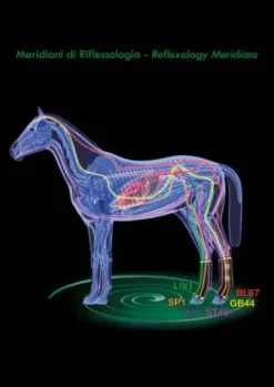 Outlet Guêtres de repos thérapeutiques Air postérieurs Guêtres De Repos Et Soins