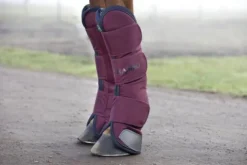 Online Guêtres de transport - Horseware - haute qualité Guêtres De Transport