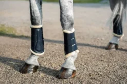 Sale Guêtres - Marine Guêtres De Dressage|Guêtres