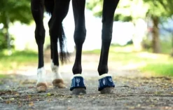 Sale Guêtres - Marine Guêtres De Dressage|Guêtres