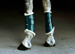 Online Guêtres - AMAZONITE Guêtres De Dressage|Guêtres