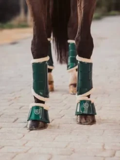 Online Guêtres - AMAZONITE Guêtres De Dressage|Guêtres