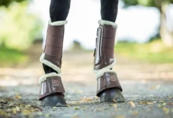 New Guêtres - Champagne Guêtres De Dressage|Guêtres