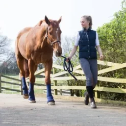 Clearance Guêtres Hardy Chaps - - Protection efficace Guêtres De Repos Et Soins