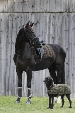 Outlet Guêtres Mesh Faux Fur PLATINUM 2024 - Guêtres