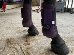 Hot Guêtres Norton violettes taille cheval Guêtres