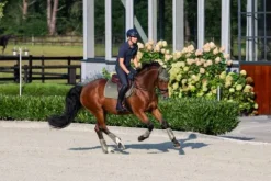 Sale Guêtres Softshell Classic Sports 2025 - Guêtres